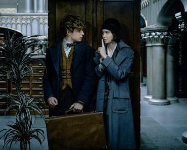 Bande annonce finale VO pour Les Animaux Fantastiques de David Yates