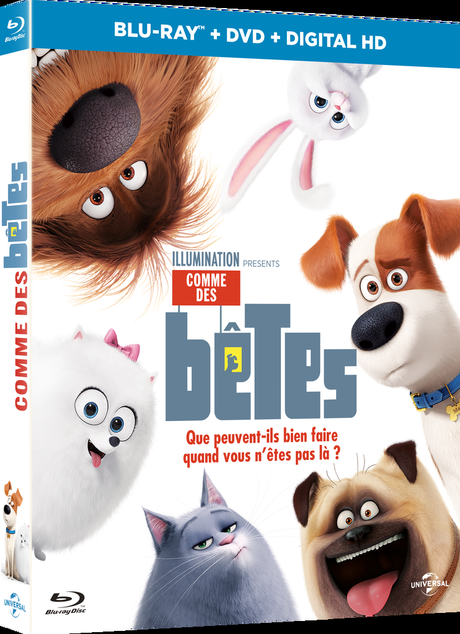 COMME DES BÊTES (Concours)  3 Blu-Ray ™ à gagner