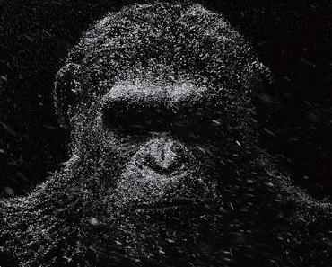 wallpaper-1689754