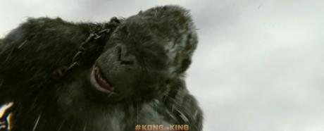Nouvelles images pour Kong : Skull Island de Jordan Vogt-Roberts Nouvelles images pour Kong : Skull Island de Jordan Vogt-Roberts