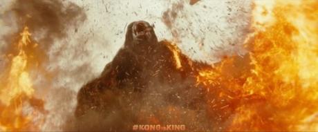 Nouvelles images pour Kong : Skull Island de Jordan Vogt-Roberts Nouvelles images pour Kong : Skull Island de Jordan Vogt-Roberts