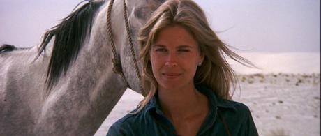 Chevauchee_sauvage_bergen