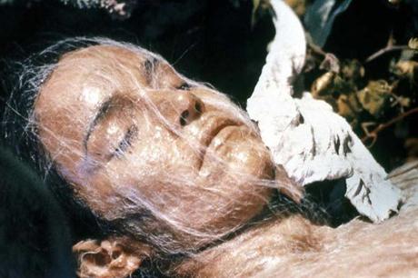 Invasion_des_profanateurs