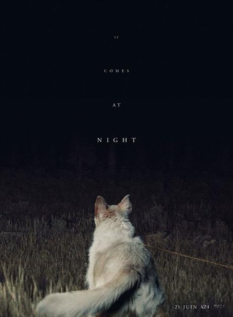It Comes At Night (2017) de Trey Edwards Shults