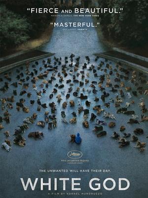 White God (2014) de Kornél Mundruczo