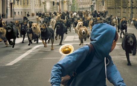 White God (2014) de Kornél Mundruczo