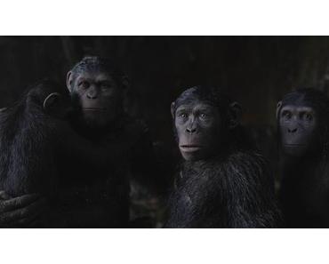 Box-Office US du week-end du 14/07/2017 : Les singes prennent le pouvoir !