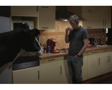 « Petit Paysan » : Oh la vache !