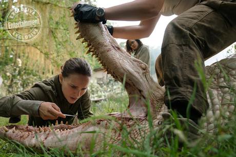 Première image officielle pour Annihilation de Alex Garland