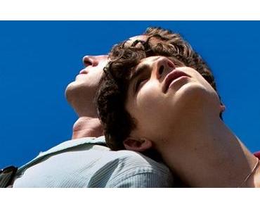 Call me by your Name, critique