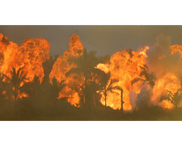 L’abécédaire du cinéma de Ciné Maccro