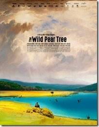 [Cannes 2018] “Le Poirier sauvage” de Nuri Bilge Ceylan
