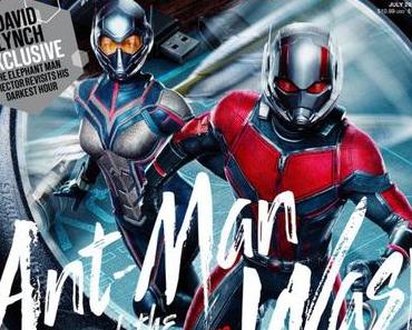 Ant-Man & Wasp: Le plein de posters !