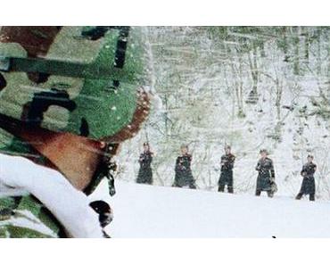 JSA – Joint Security Area, critique
