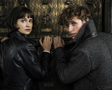 Nouvelle bande annonce VF pour Les Animaux Fantastiques : Les Crimes de Grindelwald signé David Yates
