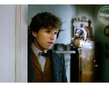 Les Animaux fantastiques : Les Crimes de Grindelwald : Nouvelle image