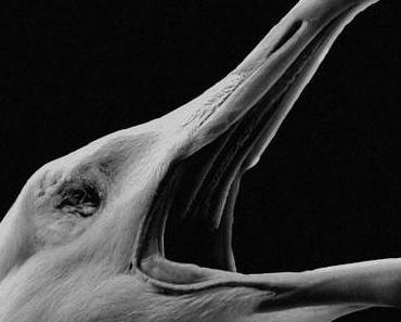 wallpaper-1689754