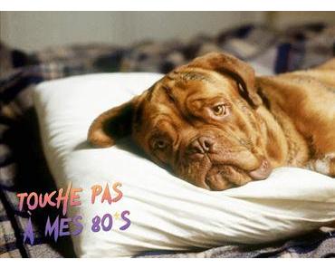 [TOUCHE PAS À MES 80ϟs] : #69. Turner & Hooch