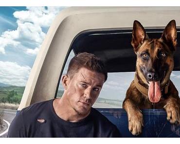 Premier trailer pour Dog de Channing Tatum et Reid Carolin