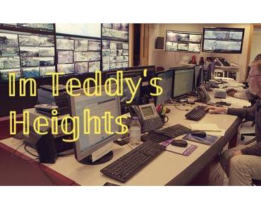 [IN TEDDY’S HEIGHTS] : #3. EO et R.M.N. : les hallucinations d'un paysage fracturé