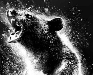 Bande annonce VF pour Crazy Bear d'Elizabeth Banks